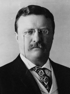 Theodore Roosevelt 1904.jpg