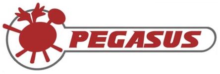 Pegasus logo.jpg