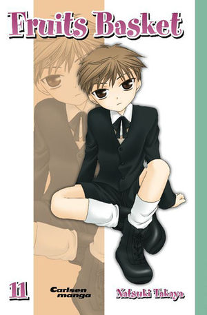 Fruits Basket 11.jpg