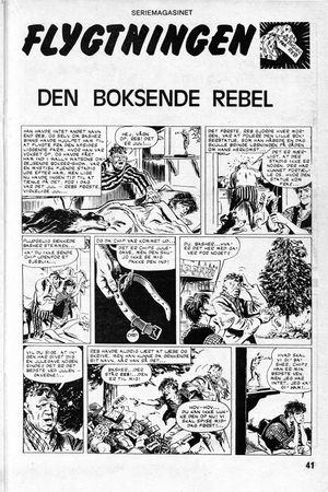 Boksende rebel 3.jpg