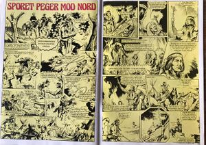 Sporet peger mod nord Ny.jpg