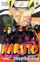 Naruto 41.jpg