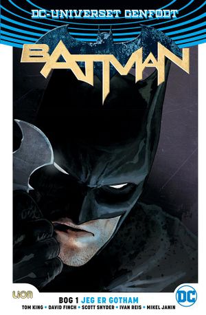 DC-universet Batman 01.jpg