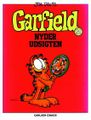 Garfield 31.jpg