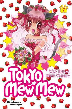 Tokyo Mew Mew 7.jpg