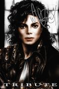 Tribute Michael Jackson d.jpg