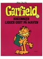 Garfield 37.jpg