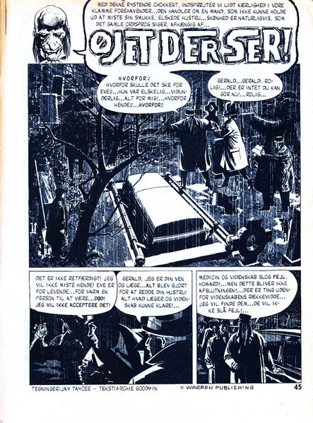 Fil:Øjet der ser.jpg