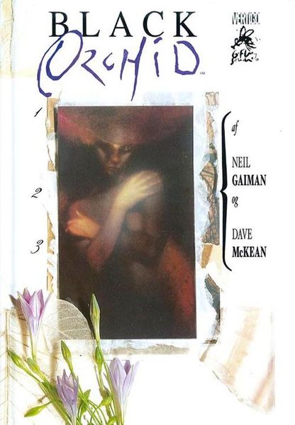 Fil:Black Orchid.jpg