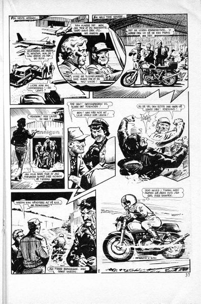 Fil:Dødskørsel 4.jpg