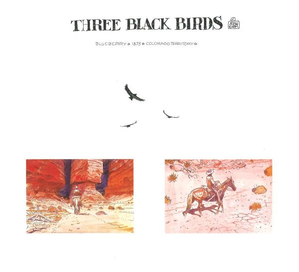 Tre sorte fugle farver 1.jpg