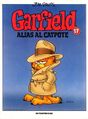 Garfield 17.jpg