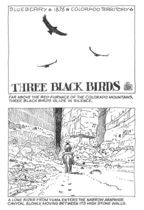 Three black birds.jpg