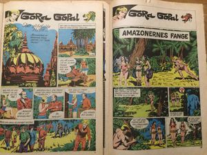 Gora Gopal farver.jpg