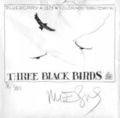 3 black birds 1.jpg