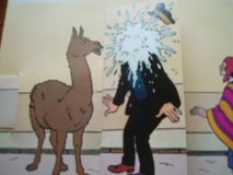 Tintin pop-hop-bog 003.jpg