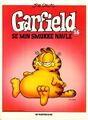 Garfield 16.jpg
