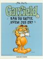 Garfield 19.jpg