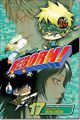 Katekyo Hitman Reborn 17.jpg