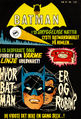 Batman DK 1 29.jpg