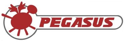 Pegasus logo.jpg